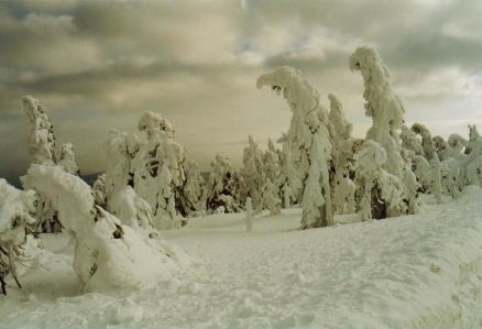 Brocken - Skulpturen 4 - Klein
