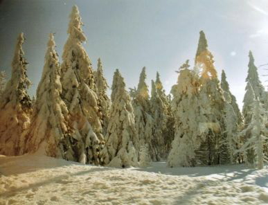 Brocken - Winterwald - Klein