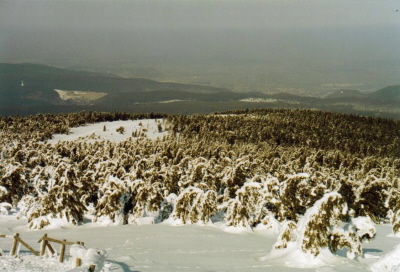 Blick ins Tal