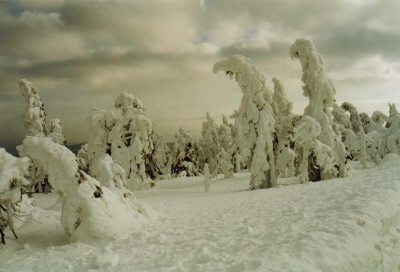 Eisskulpturen 4
