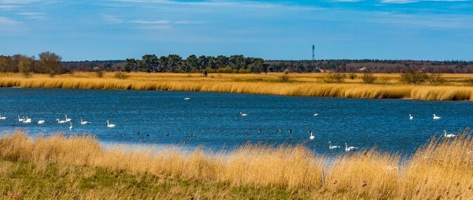 Zwischen Bodden und Meer